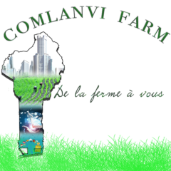 COMLANVI FARM